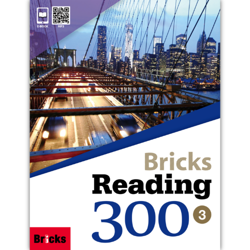 [Bricks] Bricks Reading 300-3