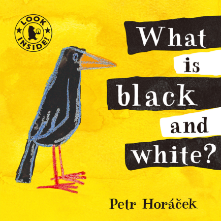 Pictory Set IT-20 / What is Black and White? (Book+CD)