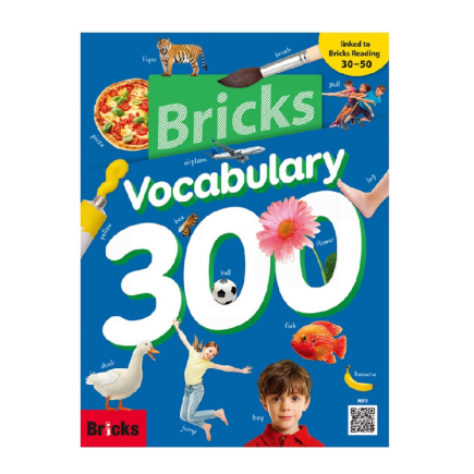 [Bricks] Bricks Vocabulary 300