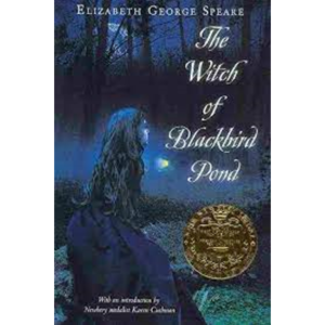 Newbery / The Witch of Blackbird Pond (Book only)