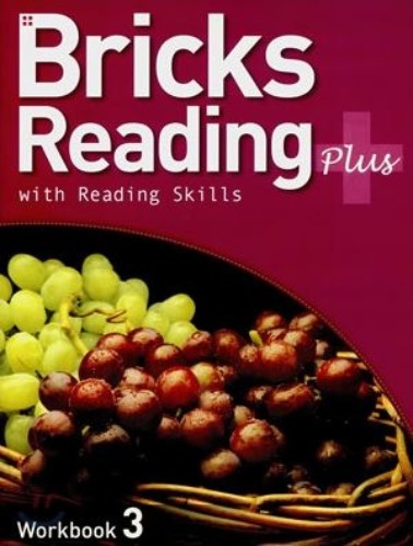 [Bricks] Bricks Reading plus WB 3