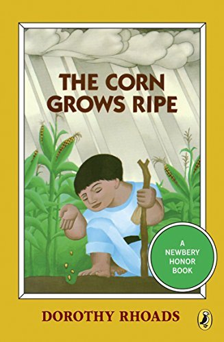 Newbery / The Corn Grows Ripe