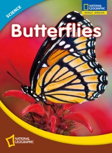 National Geographic World Window 11 Butterflies SB