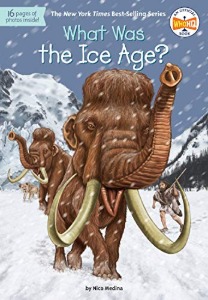 What Was 11 / Ice Age?
