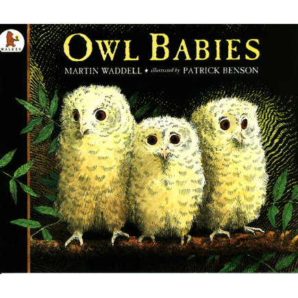 Pictory Set PS-34 / Owl Babies (Book+CD)
