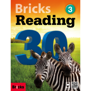 [Bricks] Bricks Reading 30-3