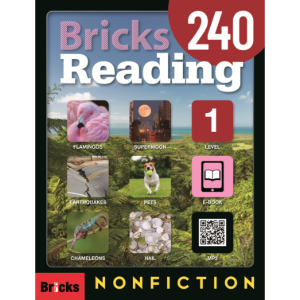 [Bricks] Bricks Reading Nonfiction 240-1