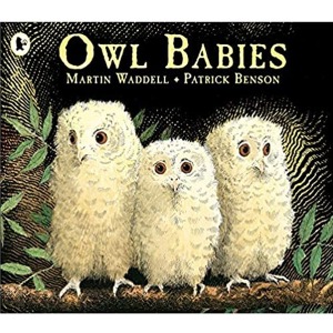 Pictory PS-34 / Owl Babies (Book Only)